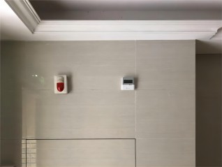 糖心黄色网站免费在线观看安装图